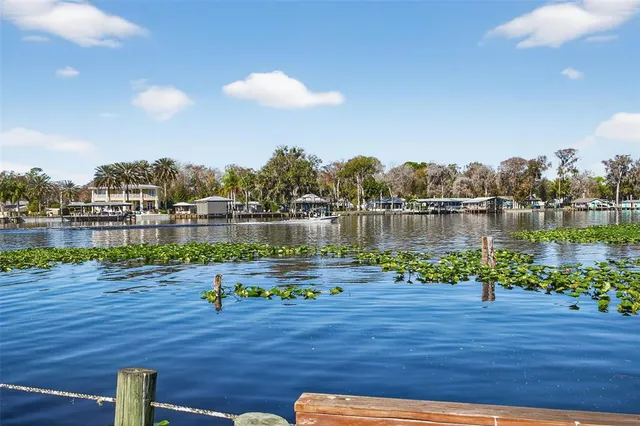 a view of a big house with a big yard and plants