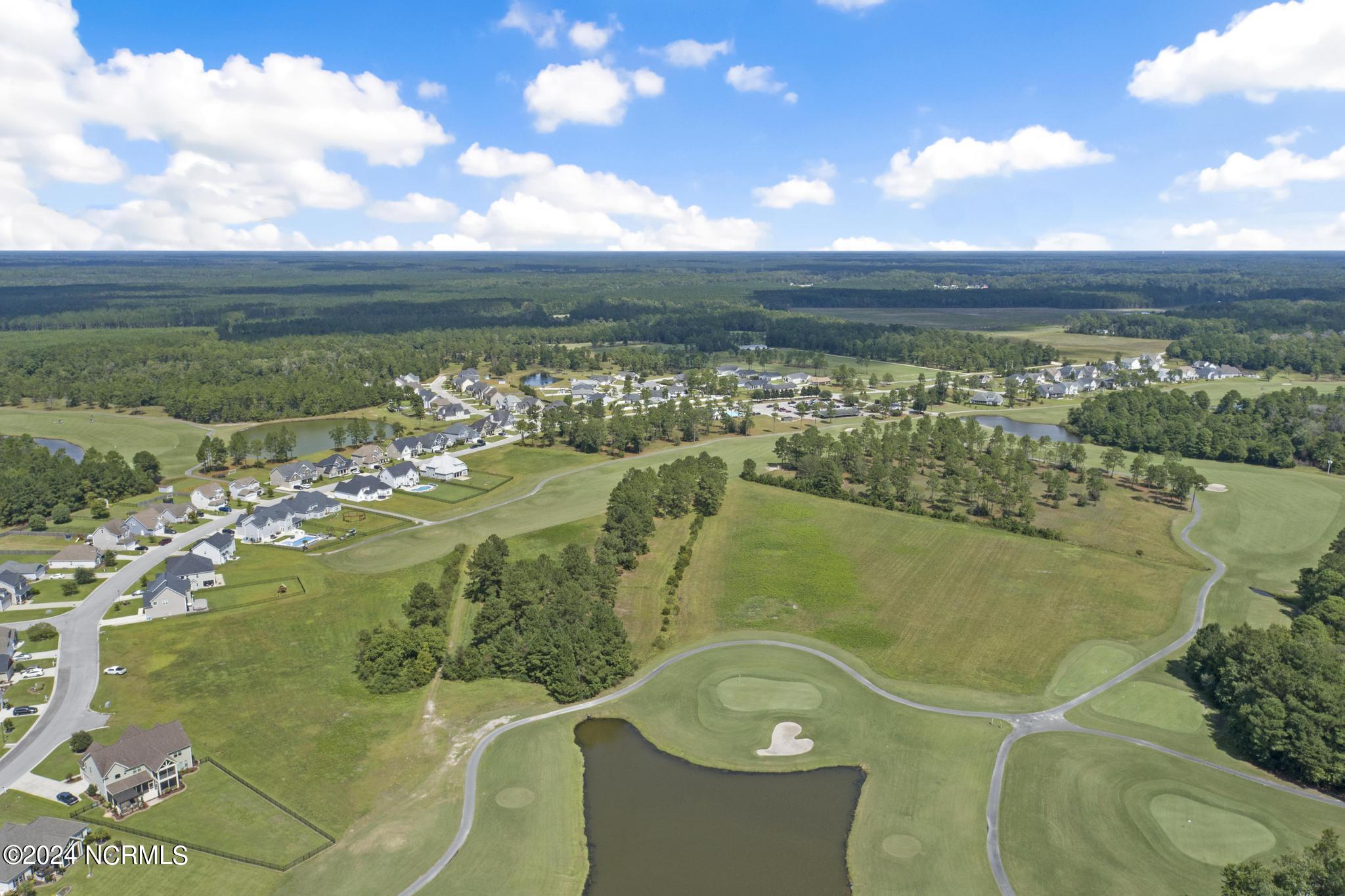 211 Wedgefield Circle Maple Hill, NC 28454 - Photo 45 of 66 DJI_0486