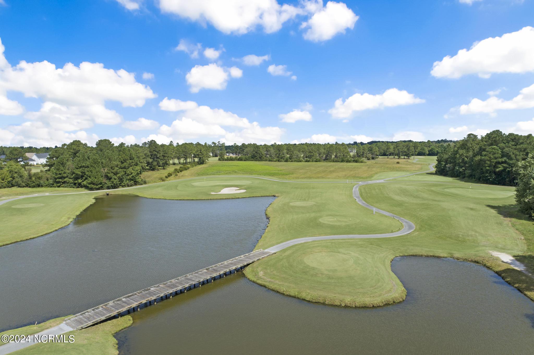 211 Wedgefield Circle Maple Hill, NC 28454 - Photo 47 of 66 DJI_0498