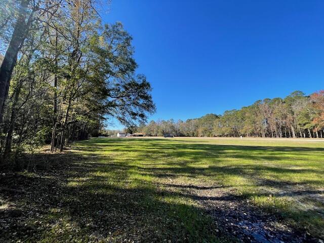 2 Fish Road Ridgeville, SC 29472 - Photo 11 of 17 IMG_6169
