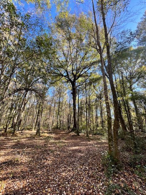 2 Fish Road Ridgeville, SC 29472 - Photo 15 of 17 IMG_6160