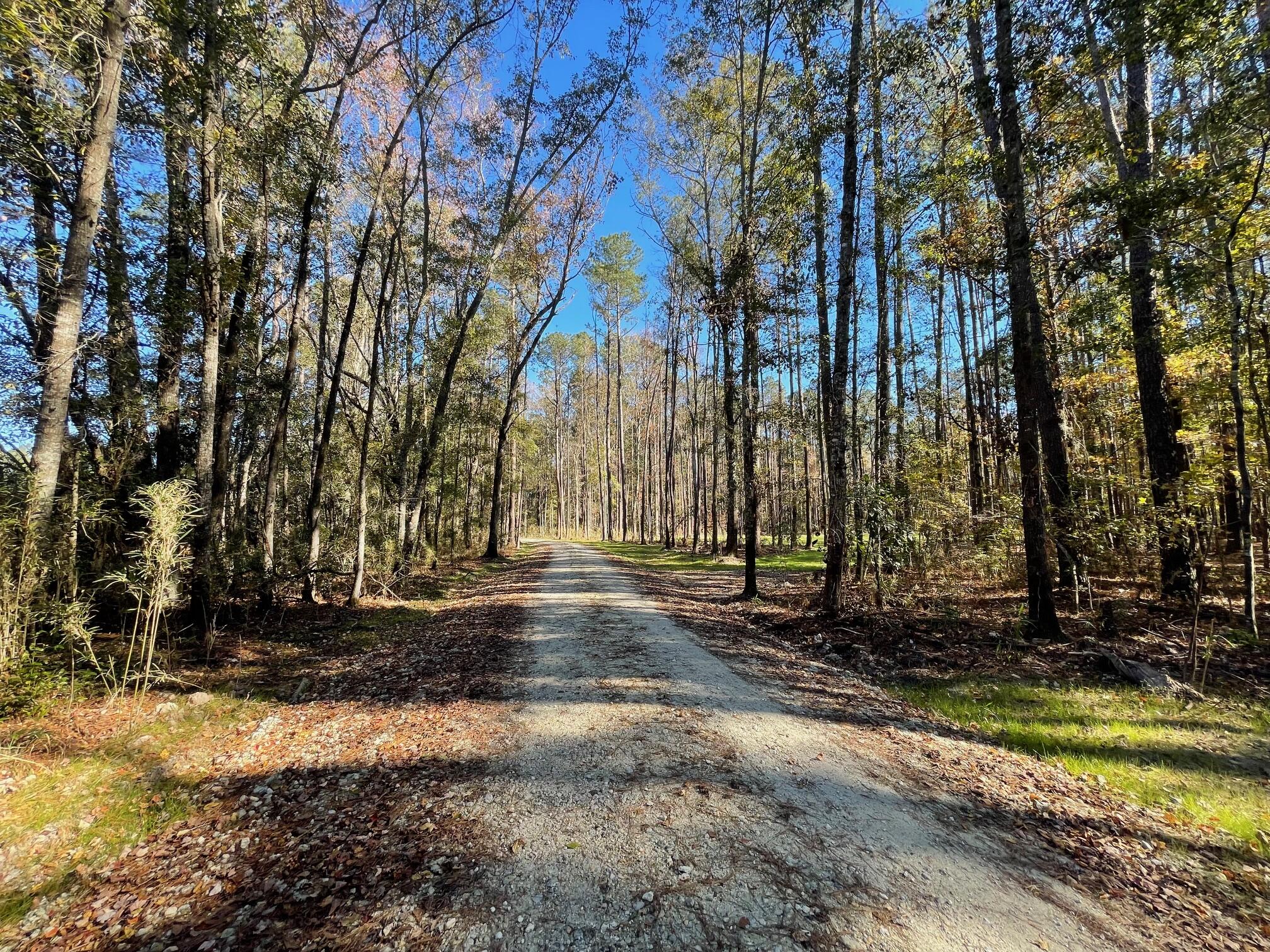 2 Fish Road Ridgeville, SC 29472 - Photo 3 of 17 IMG_6141