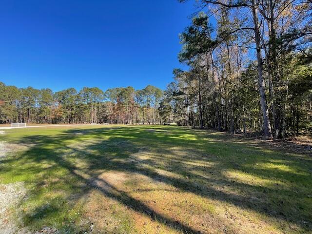 2 Fish Road Ridgeville, SC 29472 - Photo 6 of 17 IMG_6156