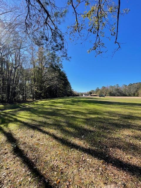 2 Fish Road Ridgeville, SC 29472 - Photo 10 of 17 IMG_6167