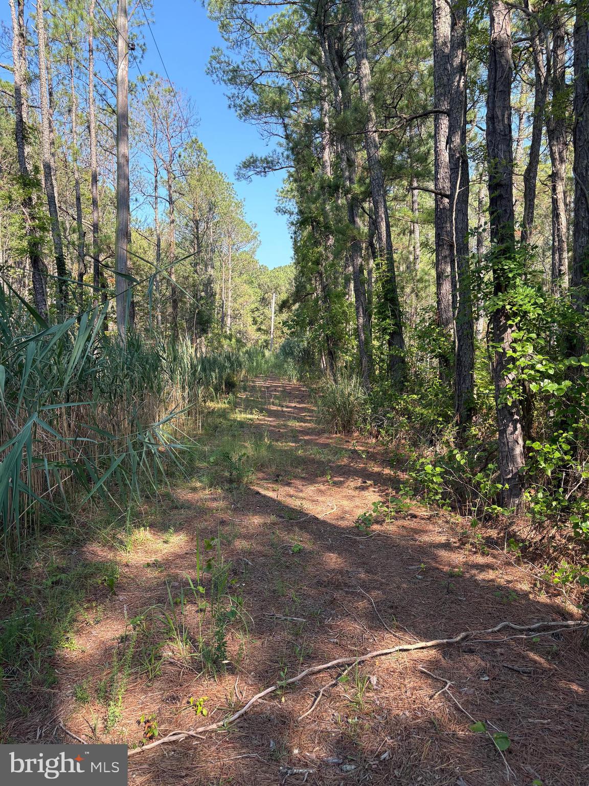 0 Boone Road, Unit PARCEL 1370 Crisfield, MD 21817 - Photo 6 of 9 a view of a lake view