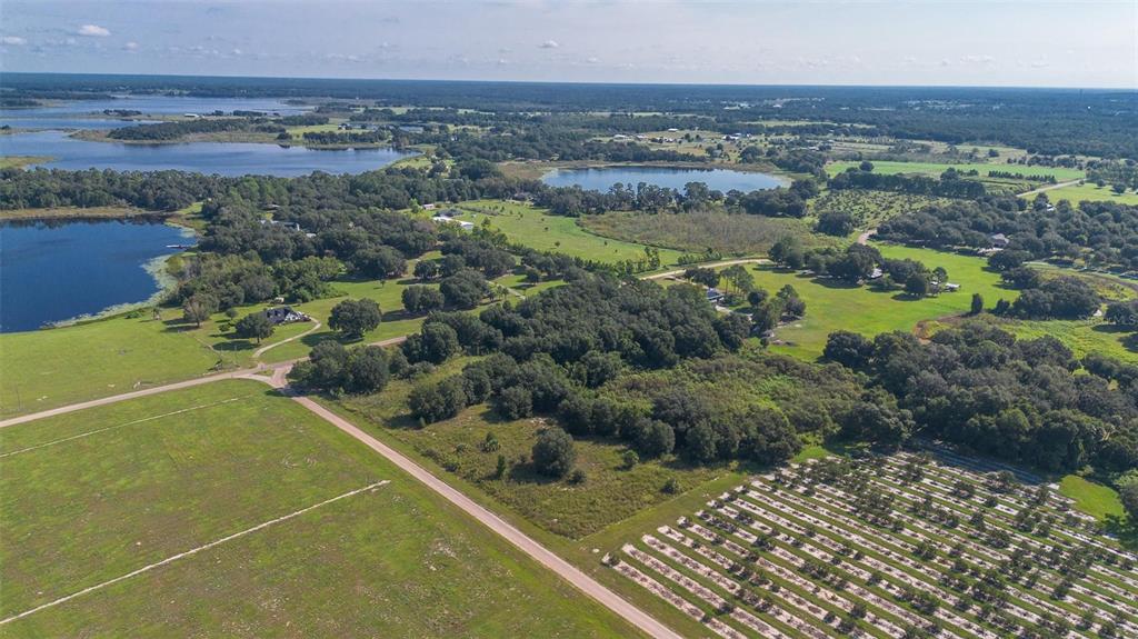 Yale Hammock Road Umatilla, FL 32784 - Photo 13 of 20