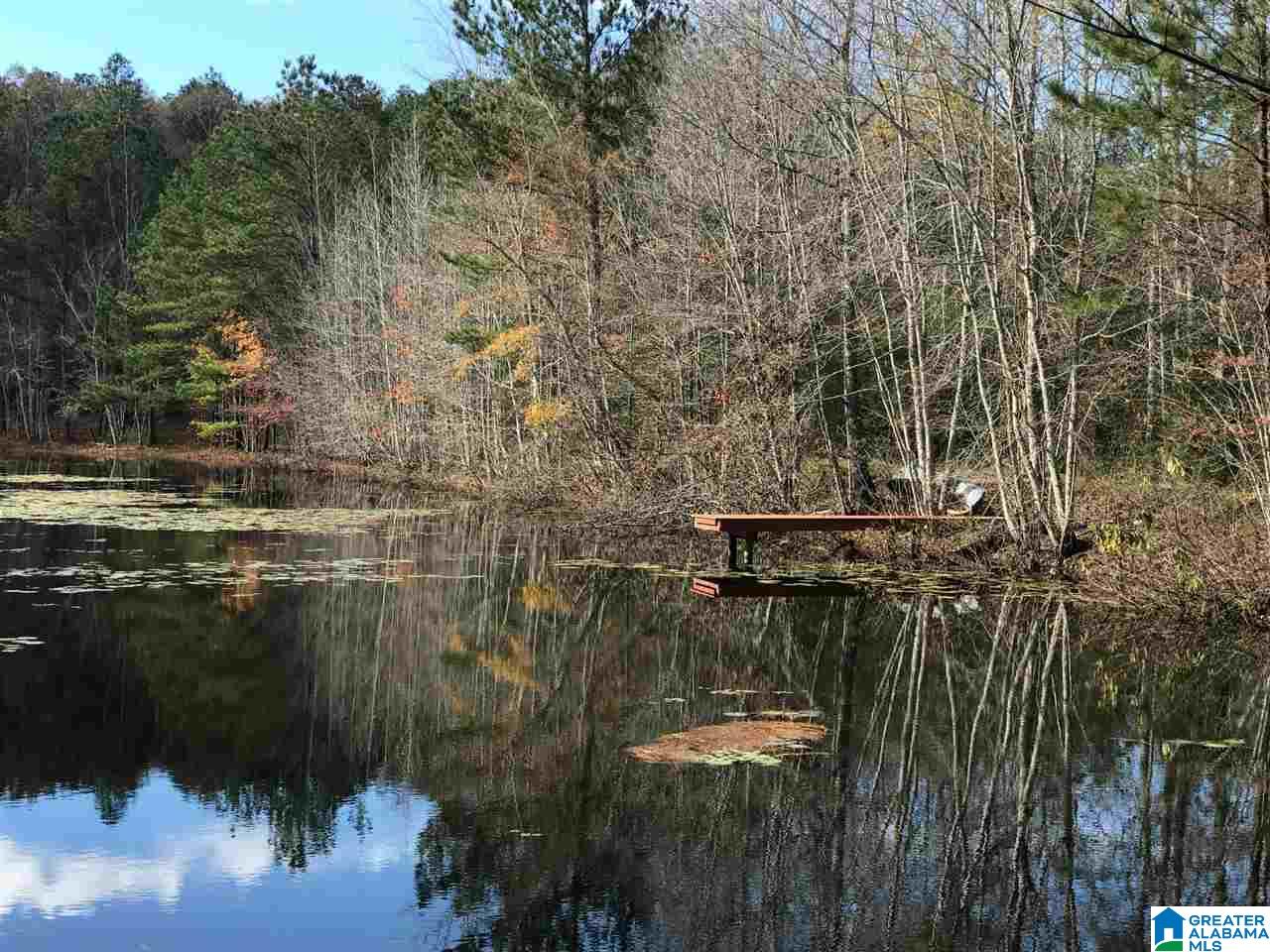 3415 Logan Martin Dam Road, Unit 48 / ACRES Vincent, AL 35178 - Photo 20 of 32