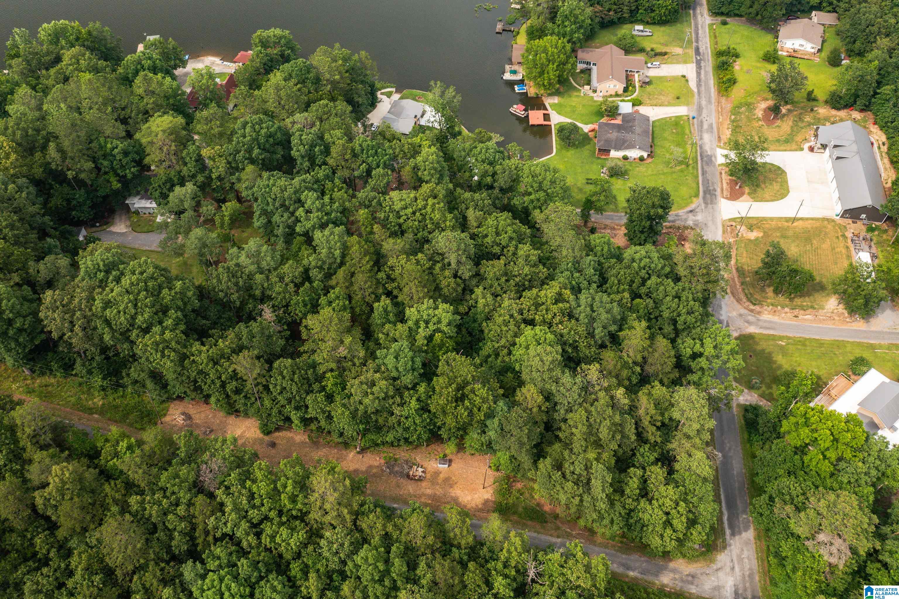 58 East Sunset Boulevard Oneonta, AL 35121 - Photo 29 of 40