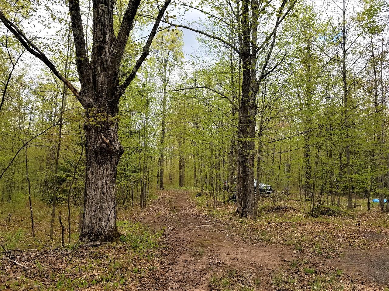 Lot 5 North Stateline Road Hurley, WI 54534 - Photo 23 of 36 Gallery Image 23