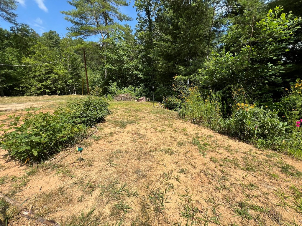 294 Pioneer Ests Road Murphy, NC 28906 - Photo 33 of 36 Lot view from RV
