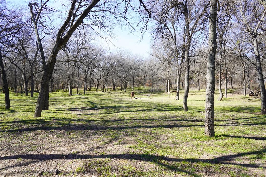 286 West Ridge Street Decatur, TX 76234 - Photo 11 of 35 a view of a yard with large trees