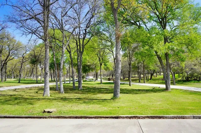 a view of a park with lots of trees