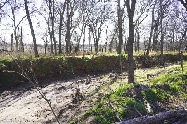 a view of a yard covered with trees