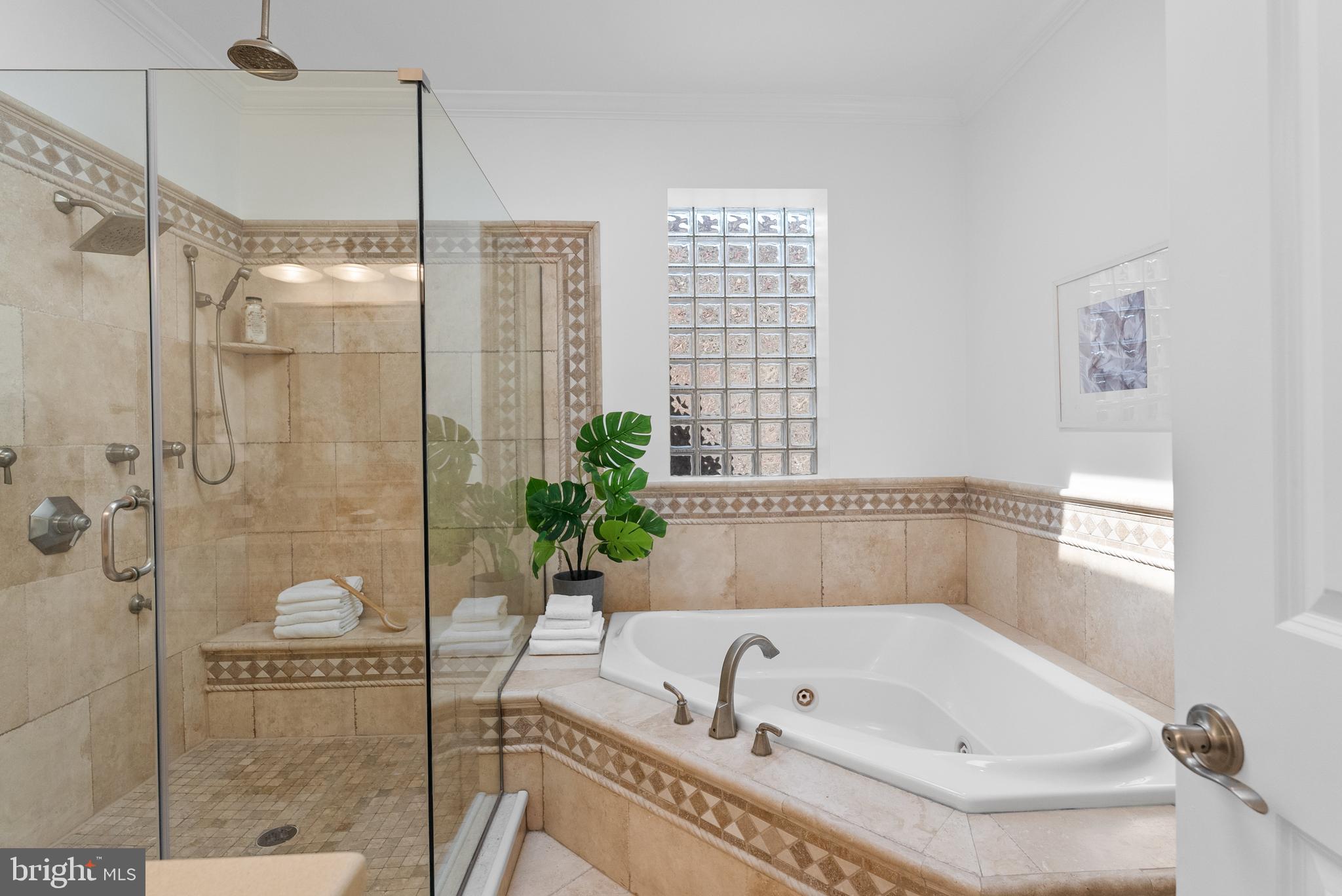 610 Independence Avenue Southeast Washington, DC 20003 - Photo 15 of 26 a bathroom with a tub a potted plant and a shower