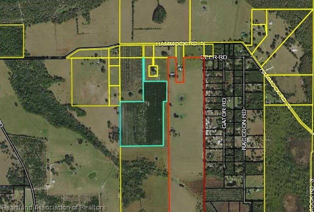 North Hammock Road Zolfo Springs, FL 33890 - Photo 1 of 1