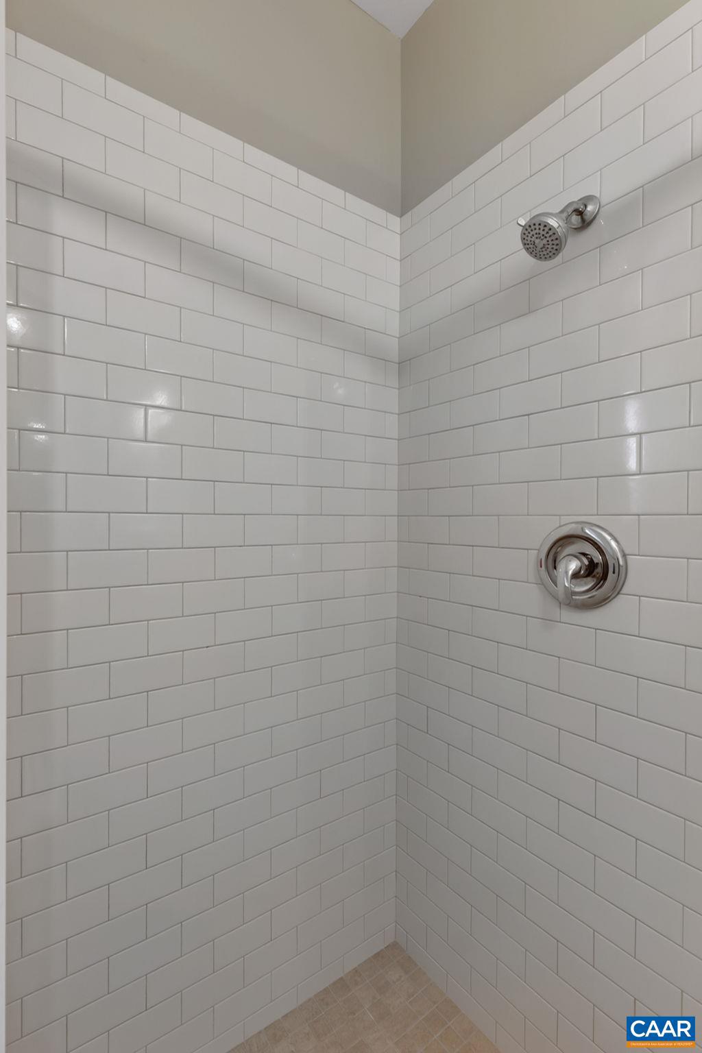 6285 Jarmans Gap Road Crozet, VA 22932 - Photo 26 of 65 a bathroom with a shower