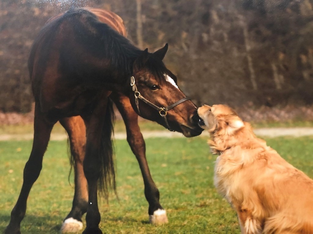 16 Pierce Road Sutton, MA 01590 - Photo 42 of 42 a view of entryway