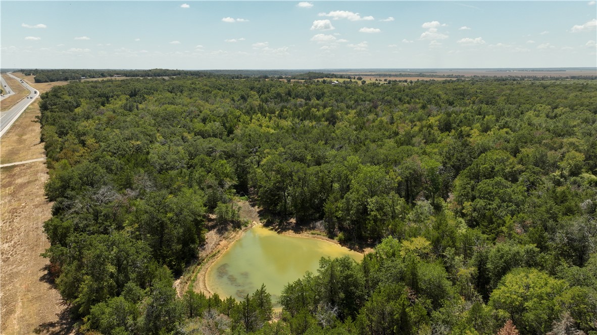 5131 North State Highway Hearne, TX 77859 - Photo 12 of 16 Drone / aerial view of a heavily wooded area and a nearby body of water
