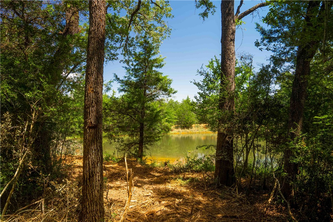 5131 North State Highway Hearne, TX 77859 - Photo 4 of 16 View of woods featuring a water view