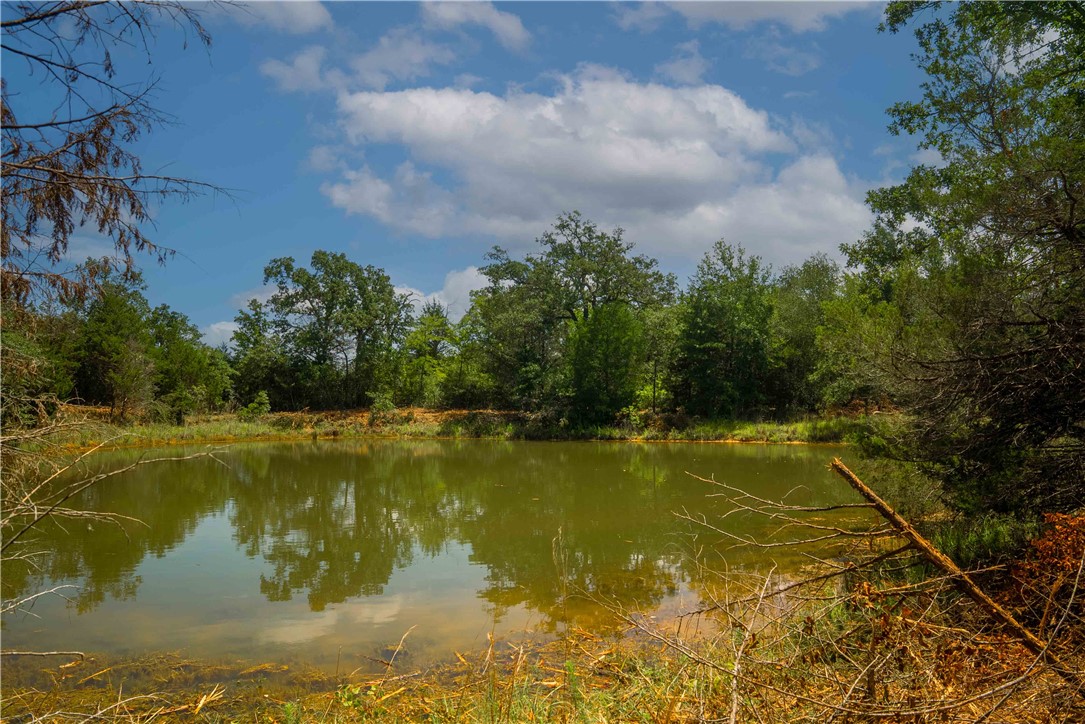 5131 North State Highway Hearne, TX 77859 - Photo 5 of 16 Water view featuring a forest