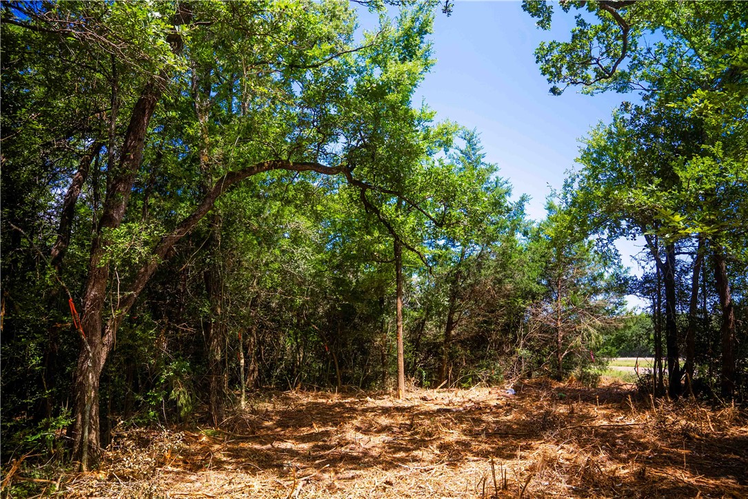5131 North State Highway Hearne, TX 77859 - Photo 8 of 16 View of wooded area