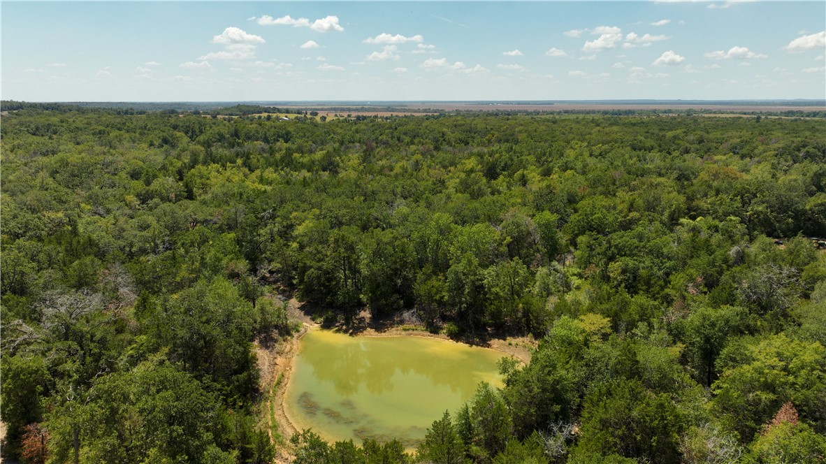 5131 North State Highway Hearne, TX 77859 - Photo 10 of 16 Drone / aerial view of a forest and a nearby body of water