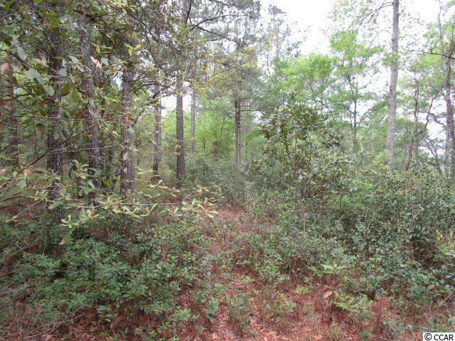 Lot 1154 Kinderhook Loop Georgetown, SC 29440 - Photo 1 of 9 Gallery Image 1