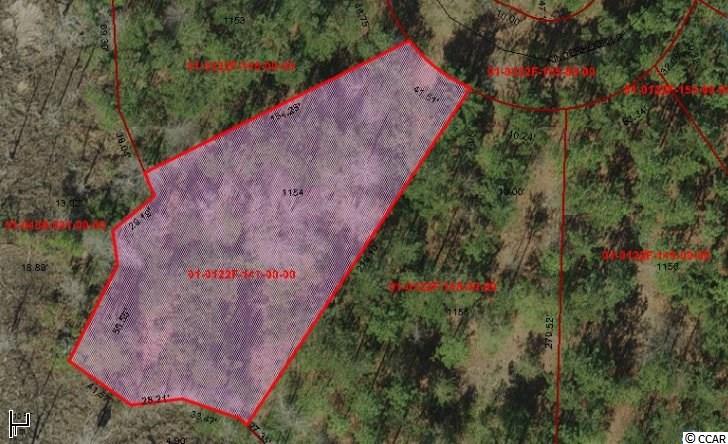 Lot 1154 Kinderhook Loop Georgetown, SC 29440 - Photo 3 of 9 Gallery Image 3