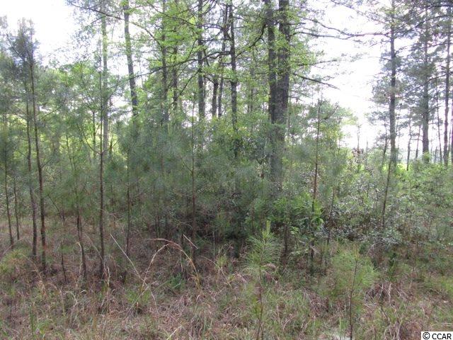 Lot 1154 Kinderhook Loop Georgetown, SC 29440 - Photo 4 of 9 Gallery Image 4