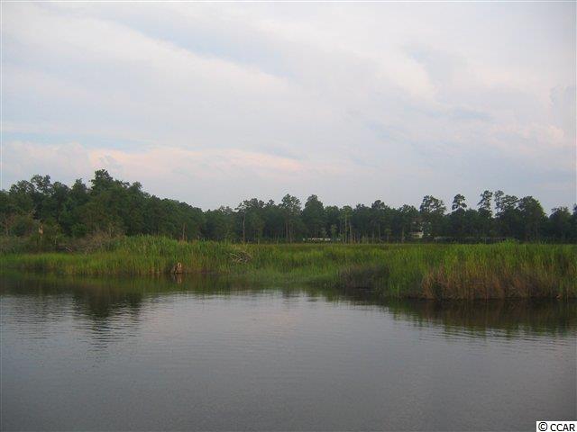 Lot 1154 Kinderhook Loop Georgetown, SC 29440 - Photo 5 of 9 Gallery Image 5