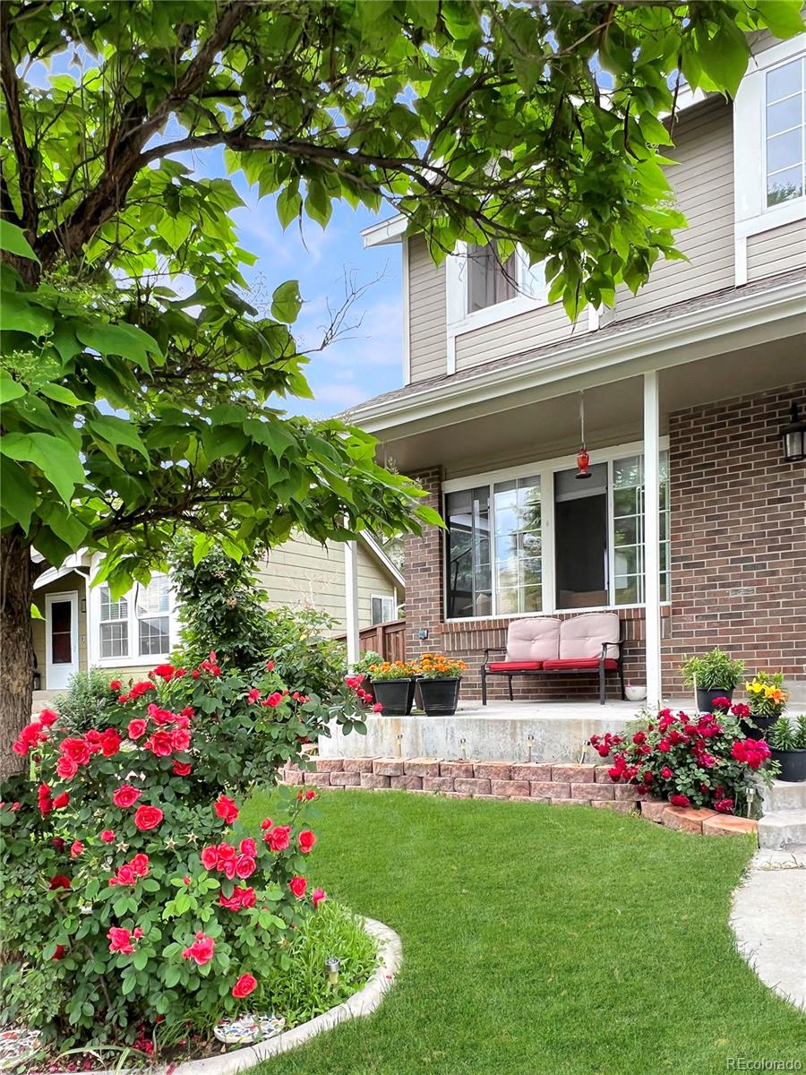 935 Brittany Way Highlands Ranch, CO 80126 - Photo 2 of 24