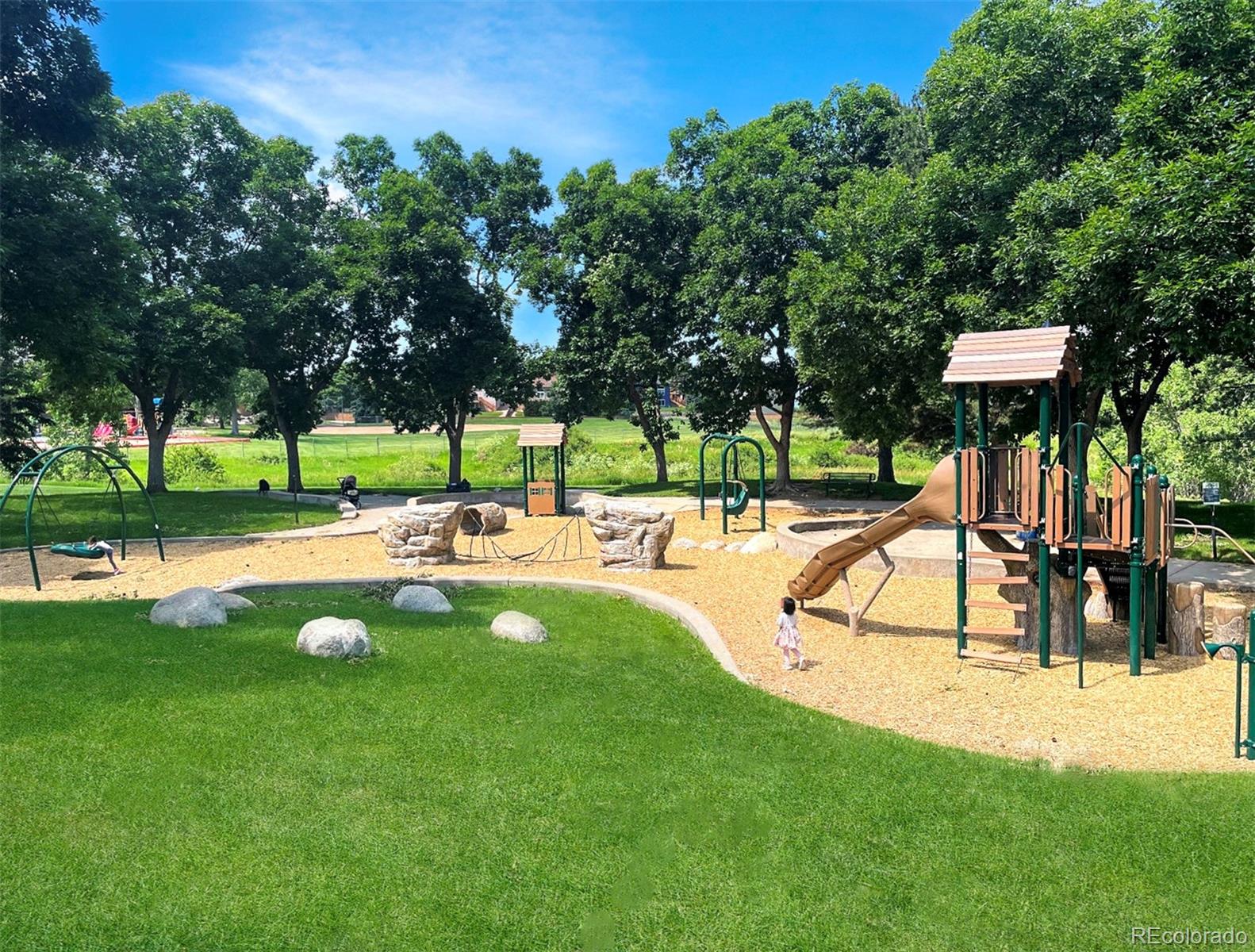 935 Brittany Way Highlands Ranch, CO 80126 - Photo 24 of 24