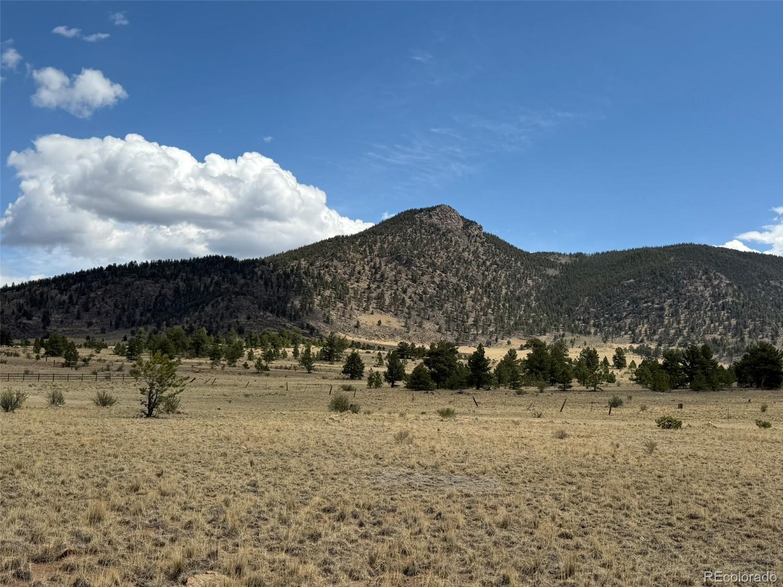 42 Turner Gulch Road Lake George, CO 80827 - Photo 11 of 23 a view of outdoor space with city view