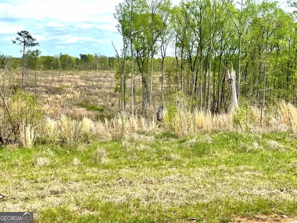 $1,336,000 | 0 Fullerton-phillips Road, Monticello, GA 31038