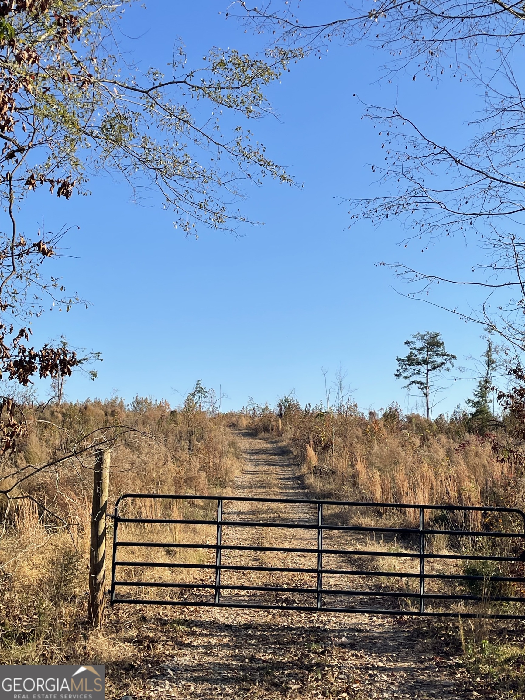 0 Fullerton-phillips Road Monticello, GA 31038 - Photo 11 of 16