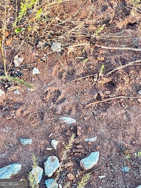 0 Fullerton-phillips Road Monticello, GA 31038 - Photo 12 of 16