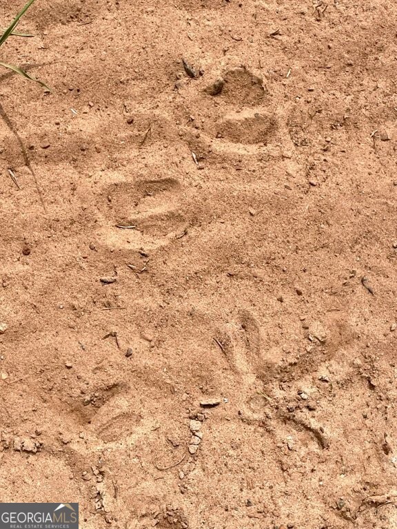 0 Fullerton-phillips Road Monticello, GA 31038 - Photo 13 of 16