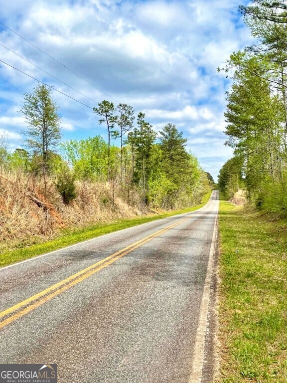 0 Fullerton-phillips Road Monticello, GA 31038 - Photo 14 of 16