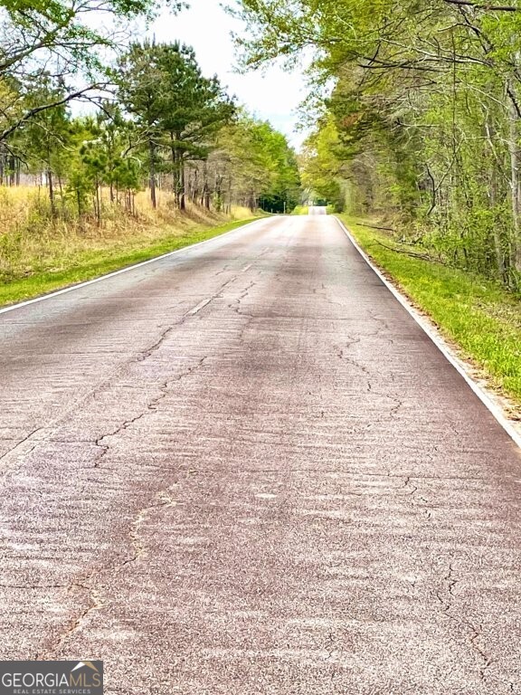 0 Fullerton-phillips Road Monticello, GA 31038 - Photo 15 of 16