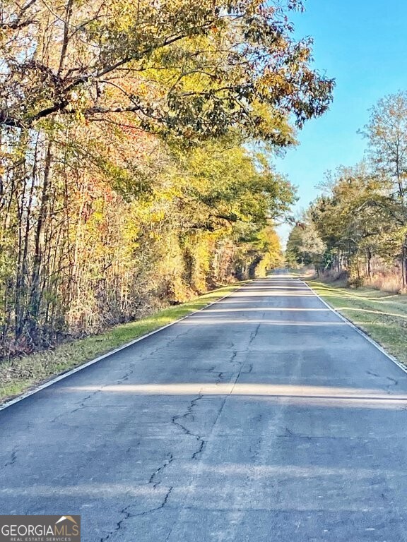 0 Fullerton-phillips Road Monticello, GA 31038 - Photo 16 of 16