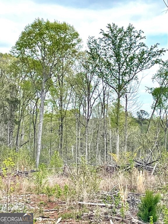 0 Fullerton-phillips Road Monticello, GA 31038 - Photo 3 of 16