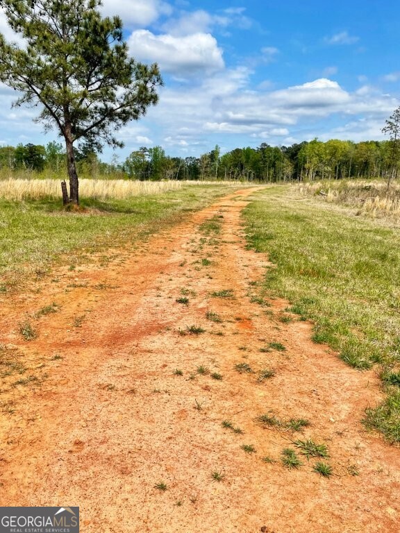 0 Fullerton-phillips Road Monticello, GA 31038 - Photo 4 of 16