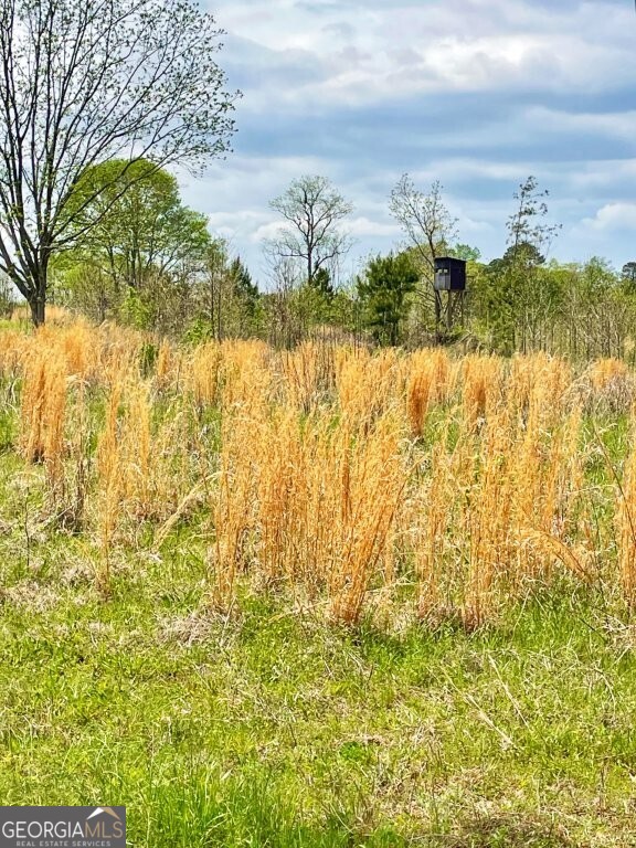 0 Fullerton-phillips Road Monticello, GA 31038 - Photo 5 of 16