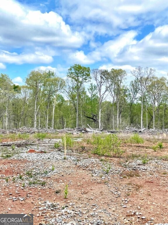 0 Fullerton-phillips Road Monticello, GA 31038 - Photo 6 of 16