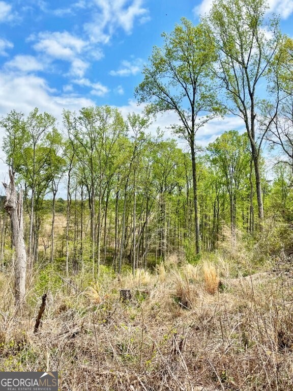 0 Fullerton-phillips Road Monticello, GA 31038 - Photo 7 of 16