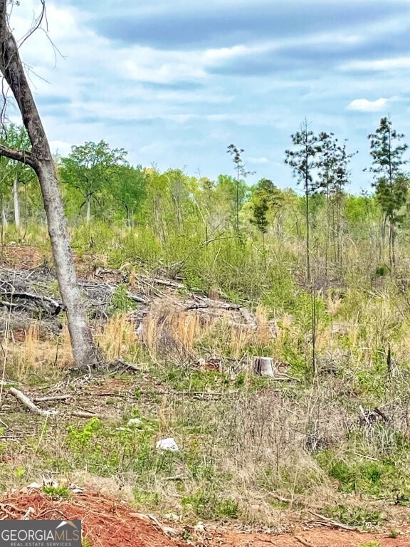 0 Fullerton-phillips Road Monticello, GA 31038 - Photo 8 of 16