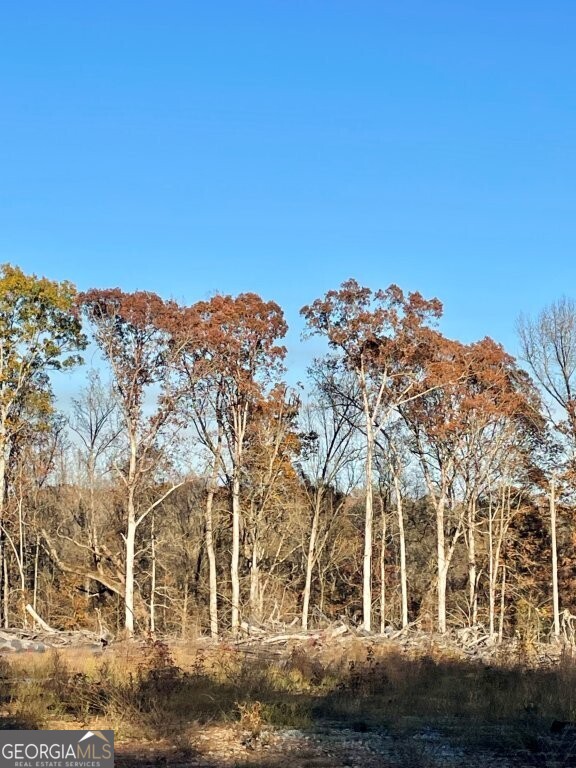 0 Fullerton-phillips Road Monticello, GA 31038 - Photo 9 of 16