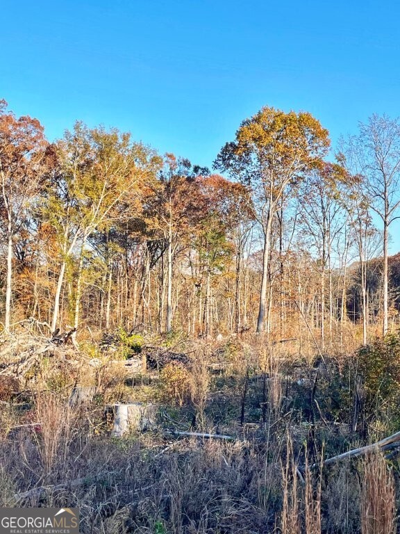 0 Fullerton-phillips Road Monticello, GA 31038 - Photo 10 of 16