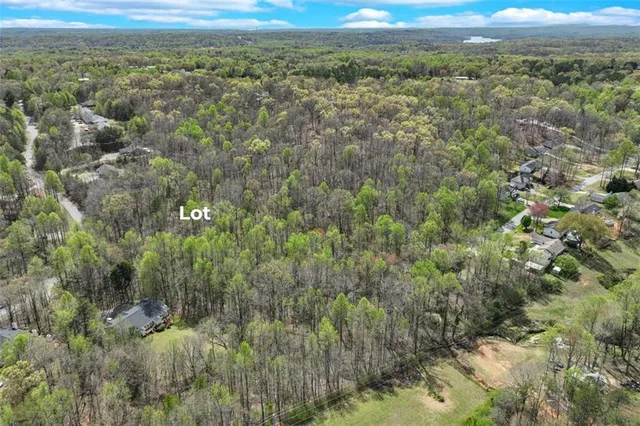 a view of a city with lush green forest
