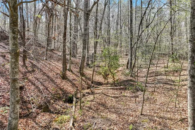 a view of a yard with large trees